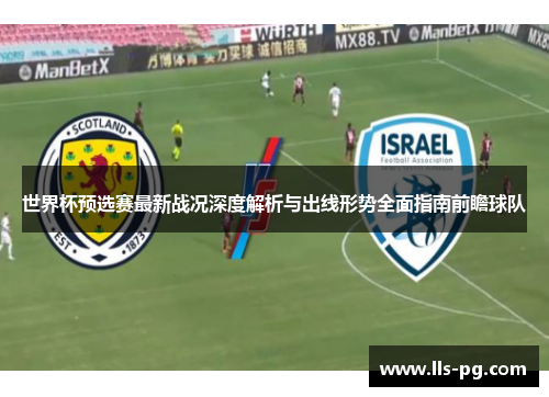 世界杯预选赛最新战况深度解析与出线形势全面指南前瞻球队
